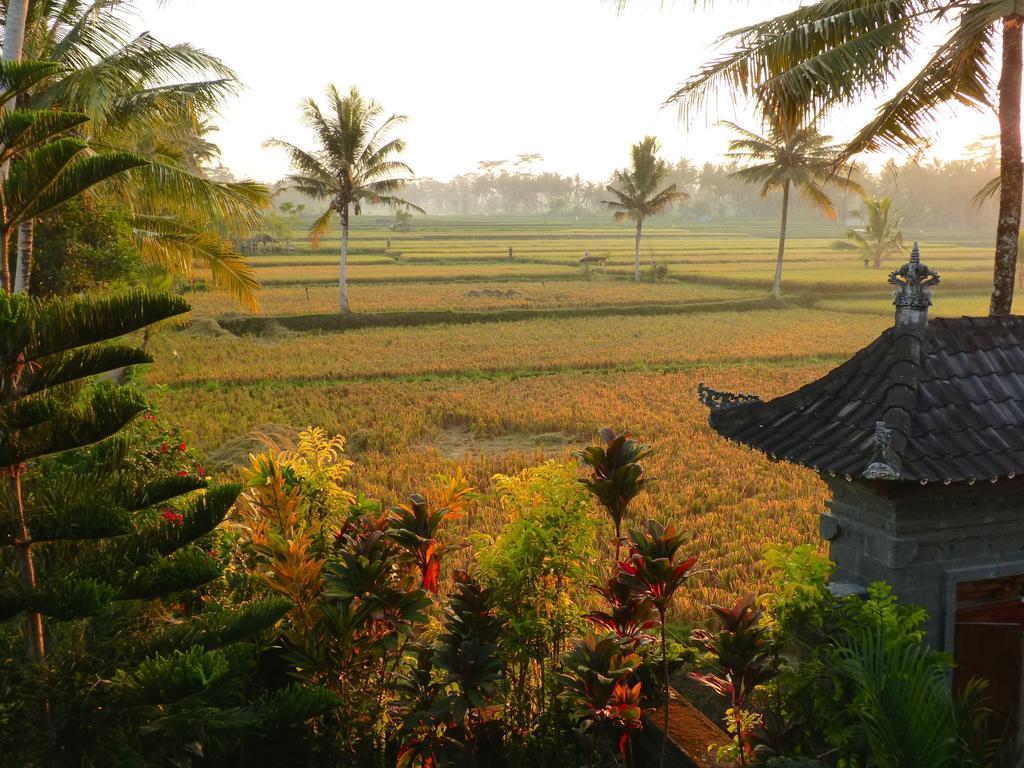 Villa Agung Khalia Ubud Zewnętrze zdjęcie