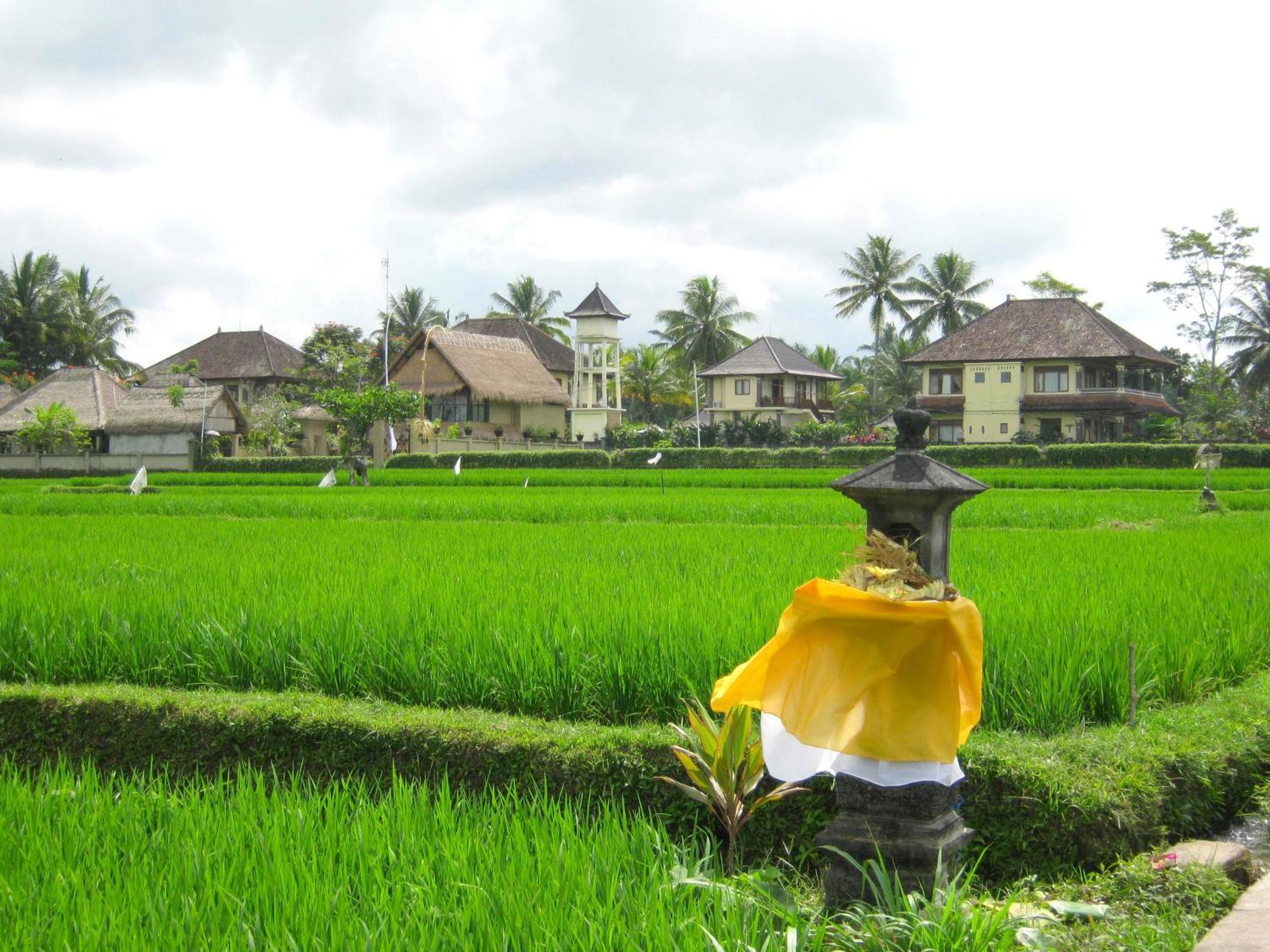 Villa Agung Khalia Ubud Zewnętrze zdjęcie