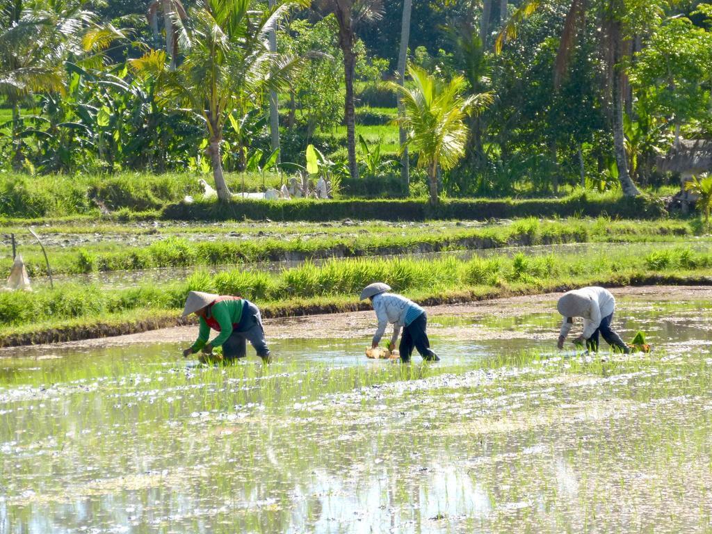 Villa Agung Khalia Ubud Pokój zdjęcie